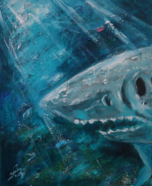 Deeper Sea Secrets Revealed Shark