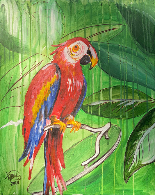 Red Parrot