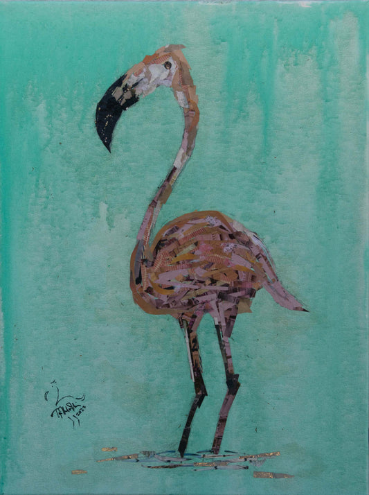 Flamingo