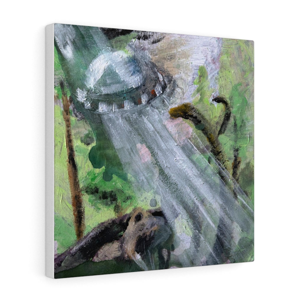 Abduction Canvas Print