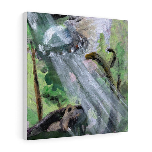 Abduction Canvas Print