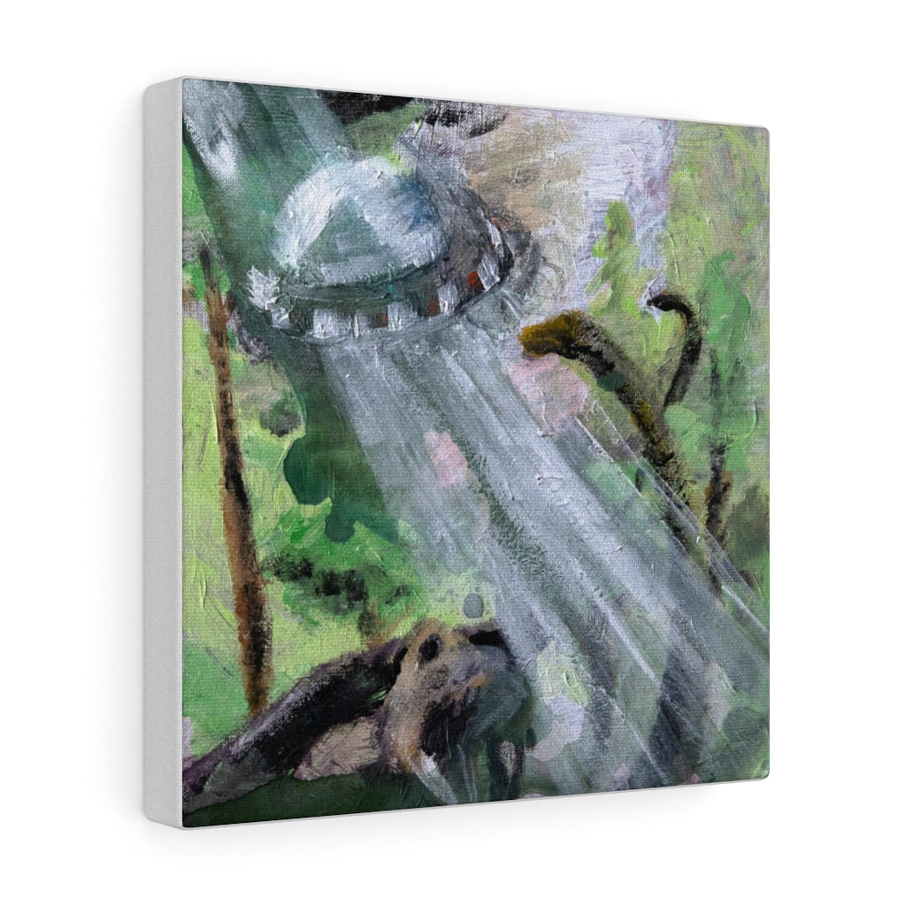 Abduction Canvas Print