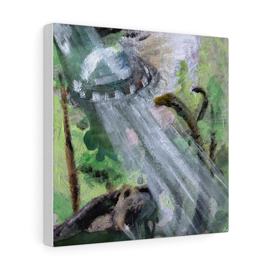 Abduction Canvas Print