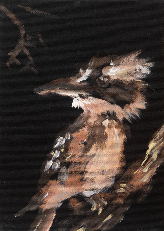 Kookaburra