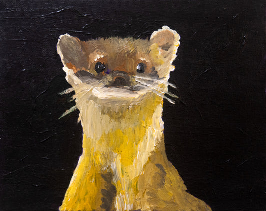 Weasel and life